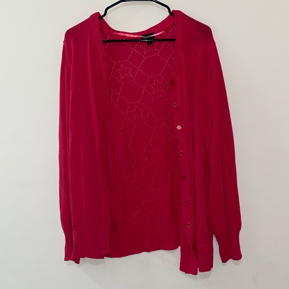 Torrid Sweater